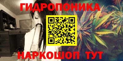 прущие крисы Кингисепп